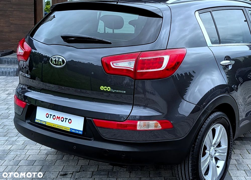 Kia Sportage - 29