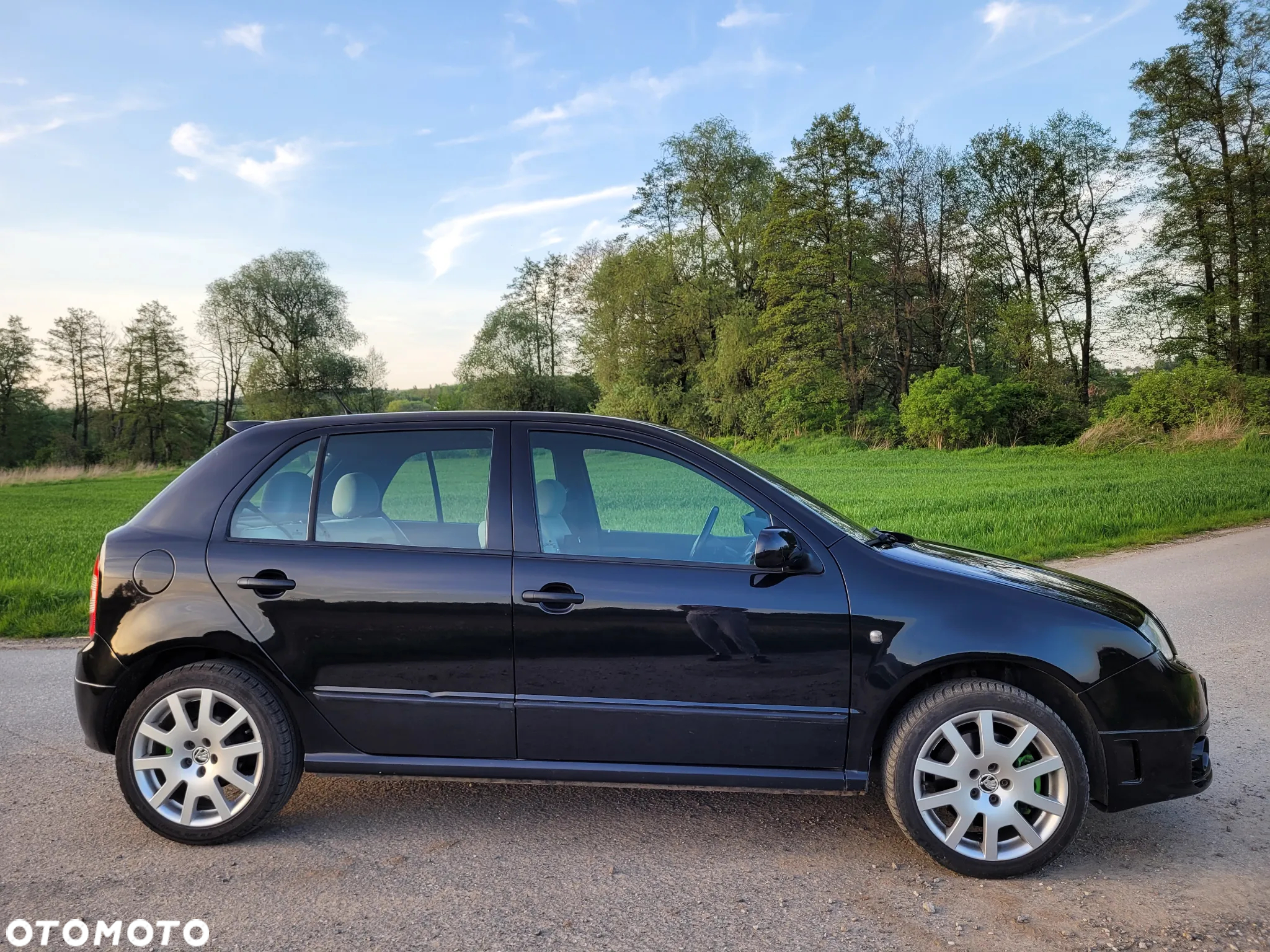 Skoda Fabia 1.9 TDI RS - 10
