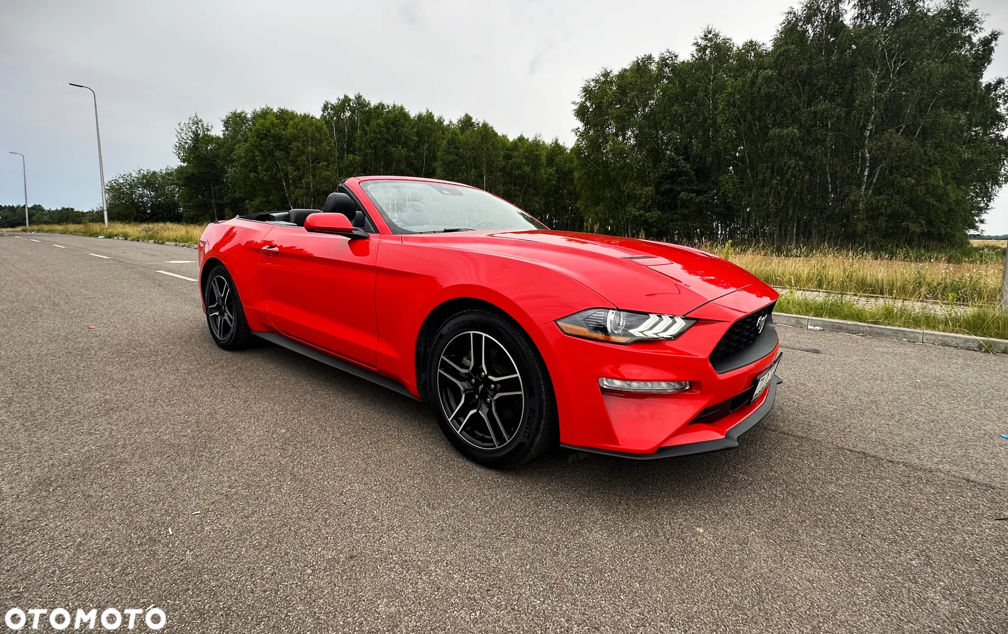 Ford Mustang 2.3 EcoBoost - 11