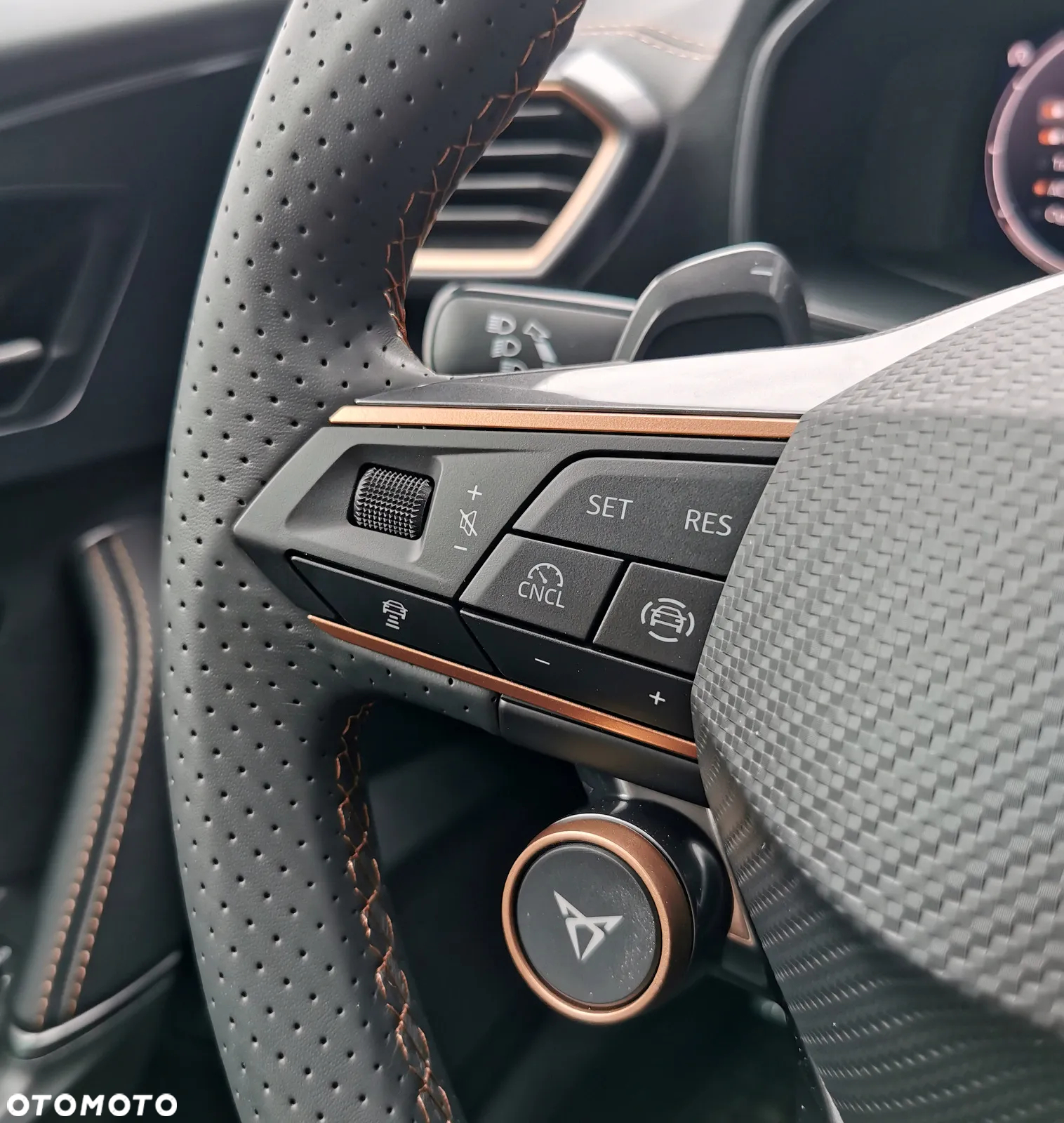 Cupra Formentor 2.0 TSI 4Drive VZ DSG - 12
