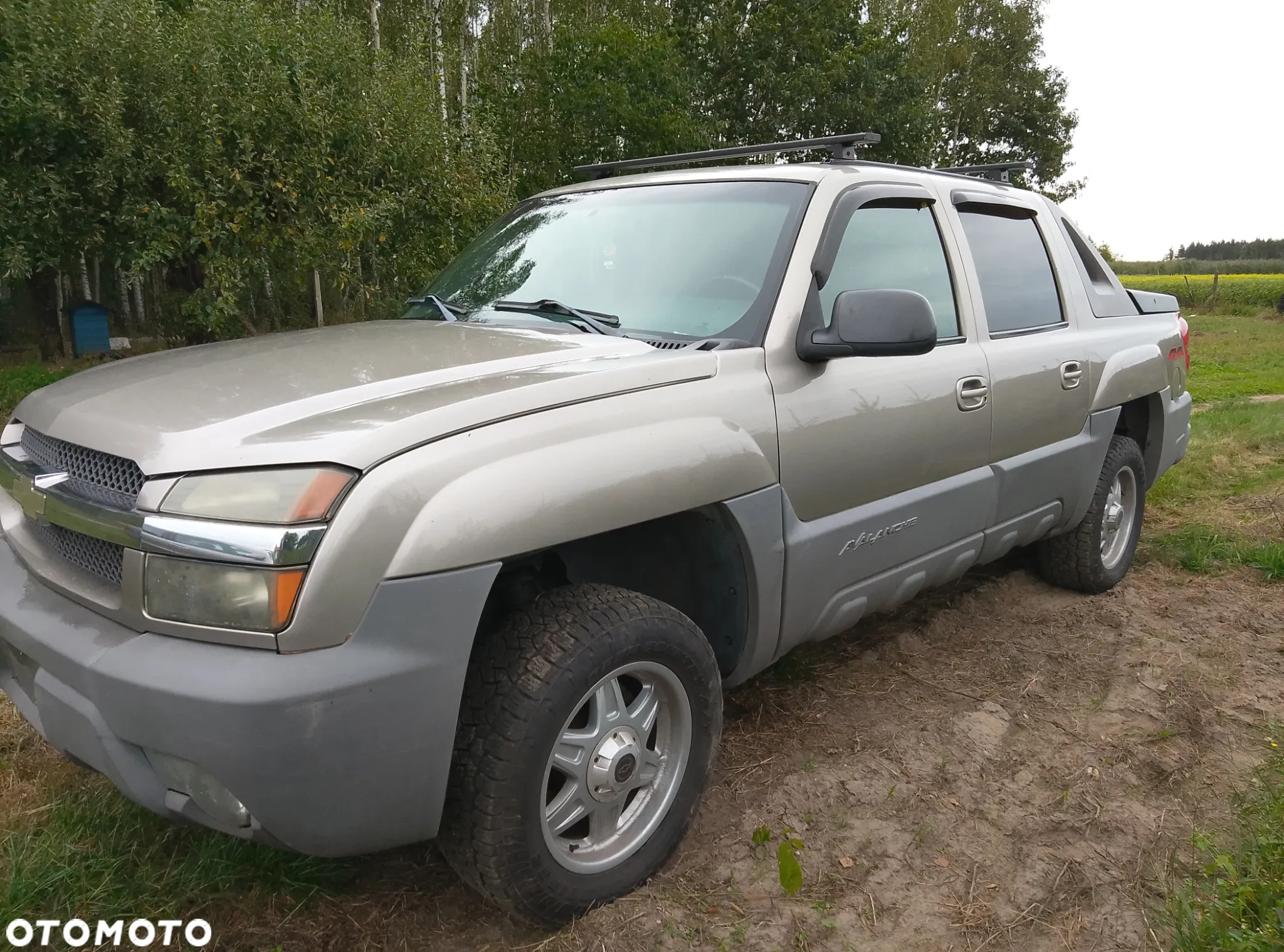Chevrolet Avalanche 5.3 1500 4WD - 7