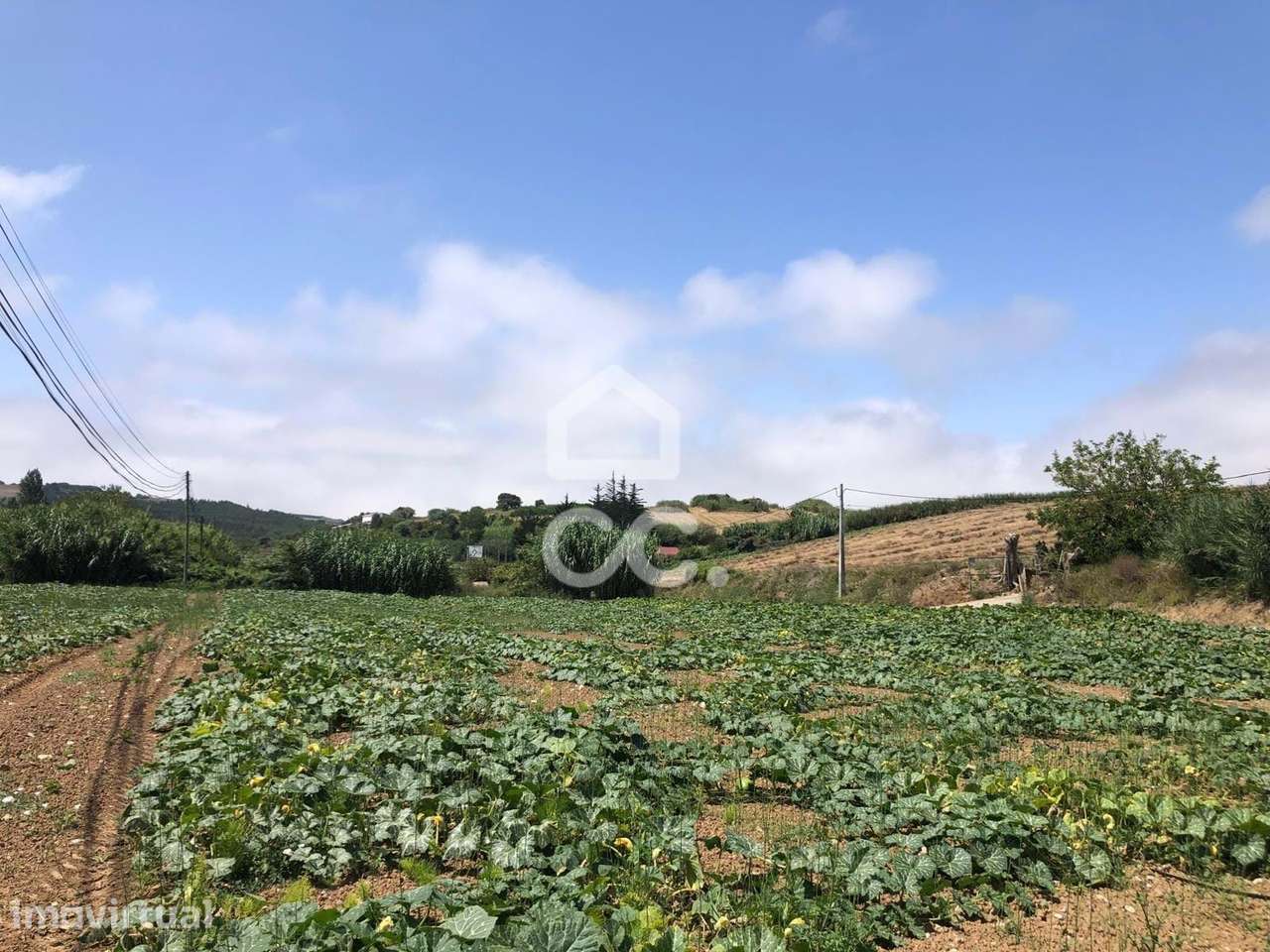 Excelente terreno agrícola com 4760 m2 - Grande imagem: 2/6