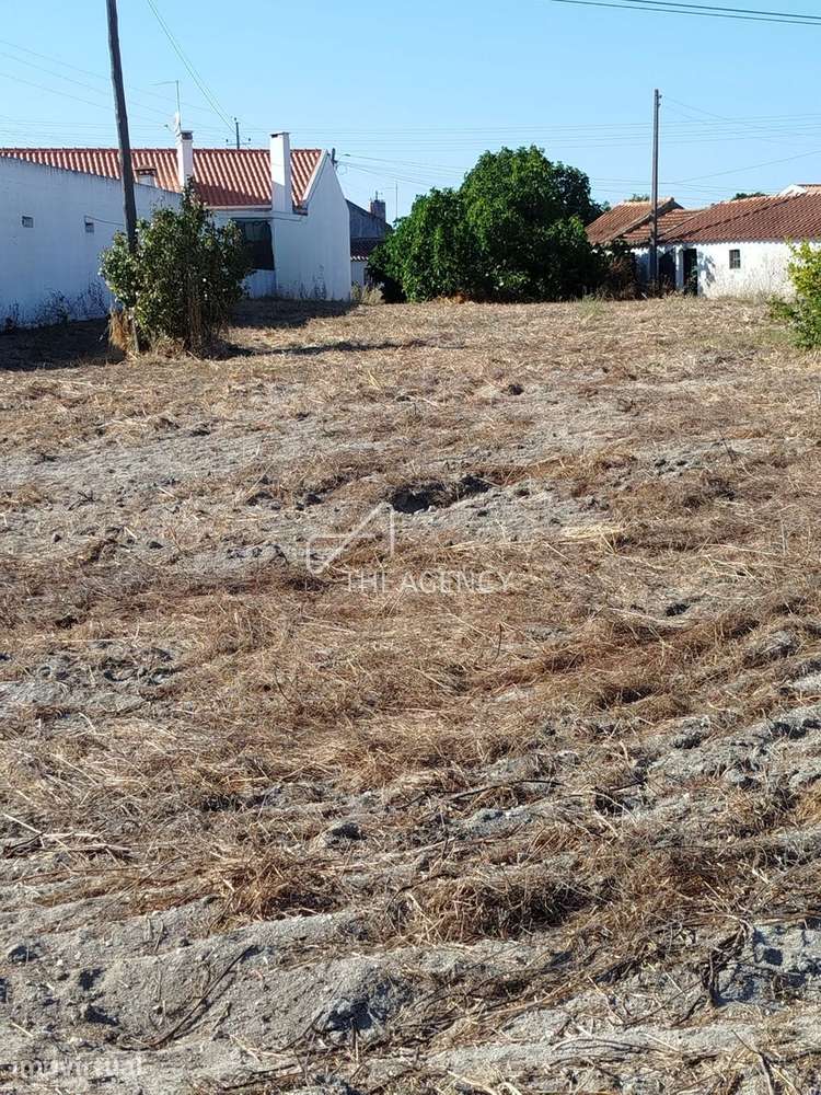 Terreno Urbano de 1.415m² – Vale da Pedro, Cartaxo - Grande imagem: 4/13