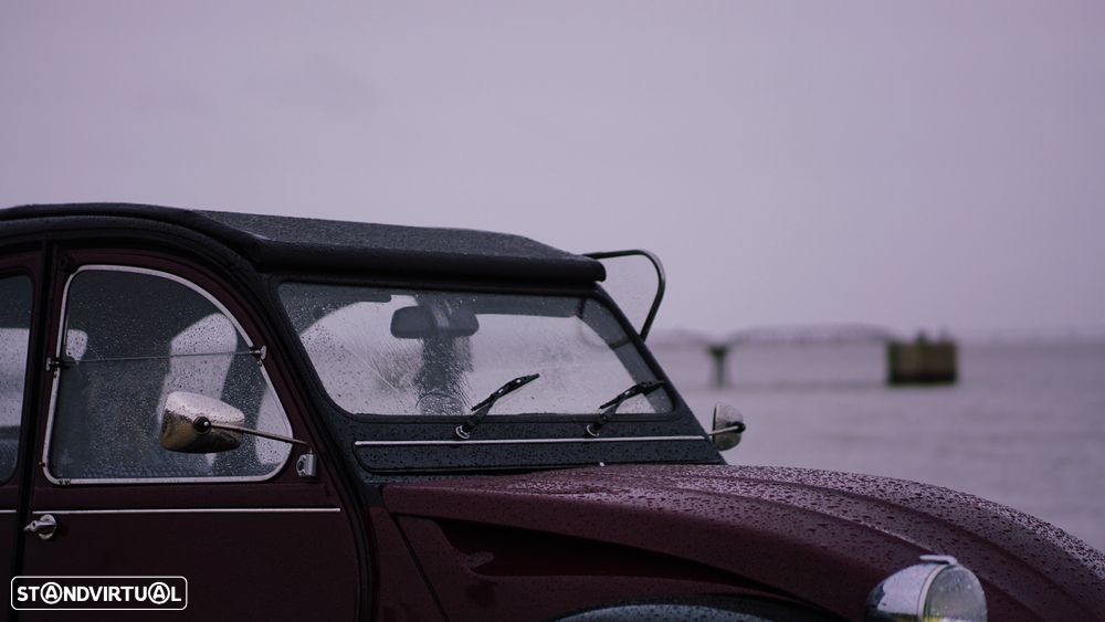 Citroën 2CV - 19