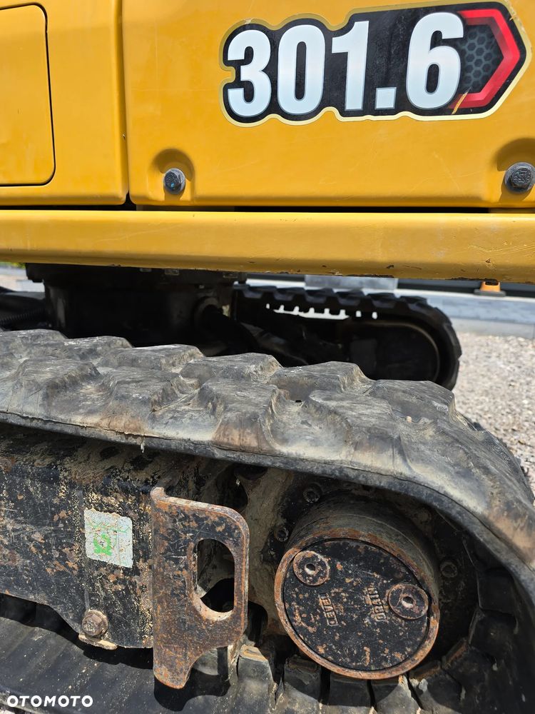 Caterpillar - 10