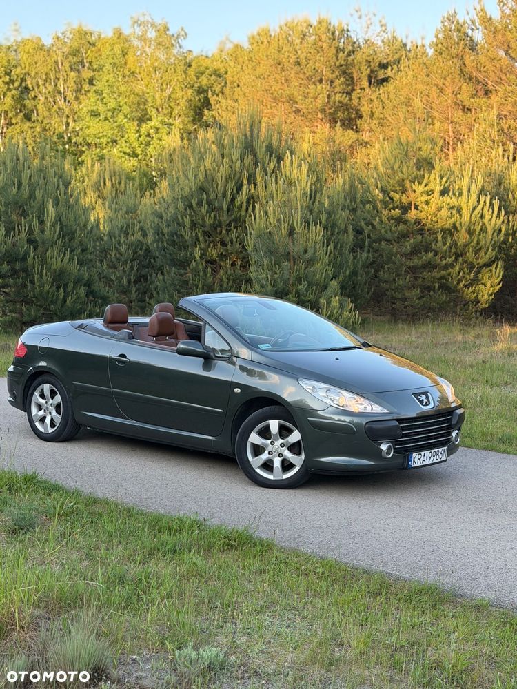 Peugeot 307 CC 2.0 Intense - 11