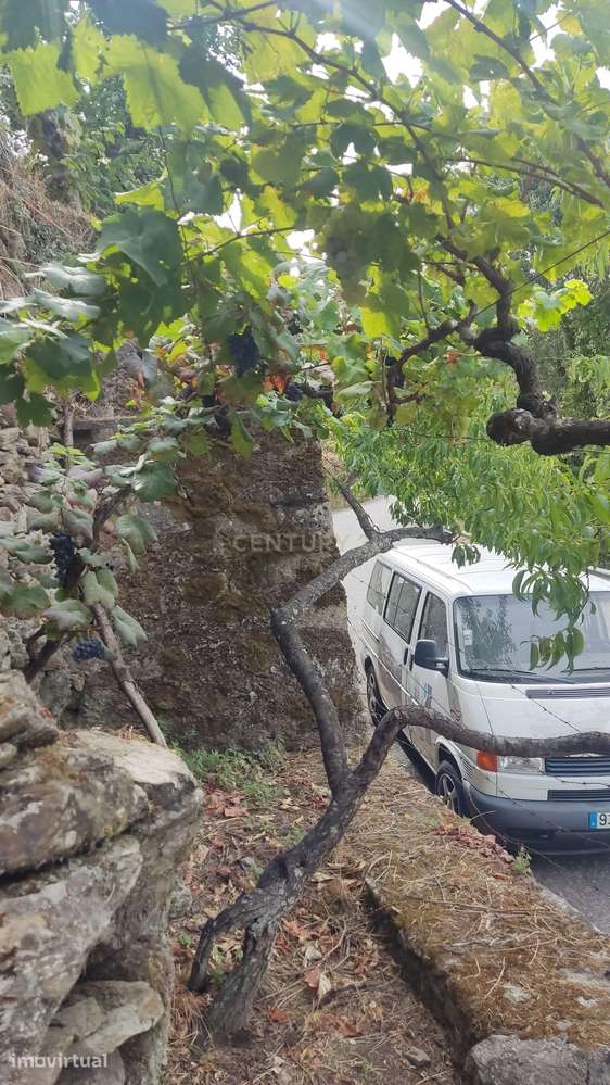 Terreno em Tabuaço, Viseu - 18600m² - Grande imagem: 2/5
