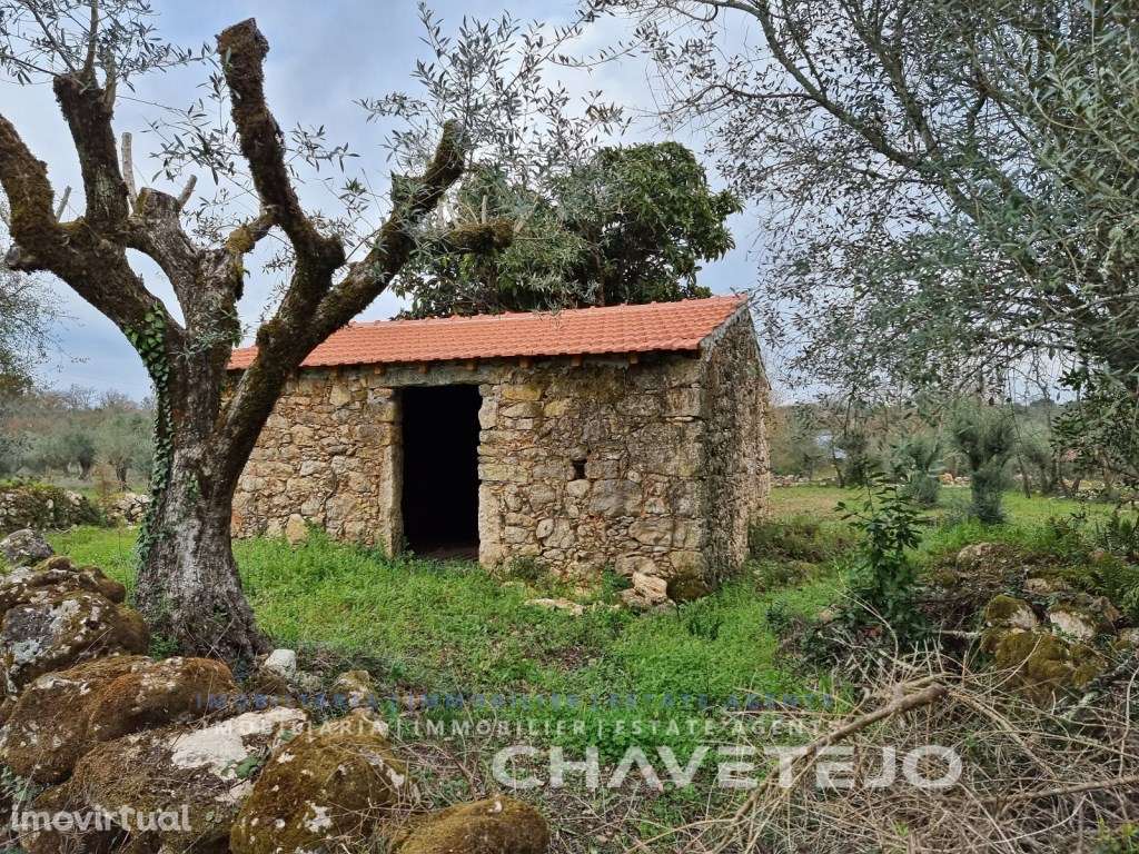 Terreno com construção rural e viabilidade de construção na pitores... - Grande imagem: 3/21