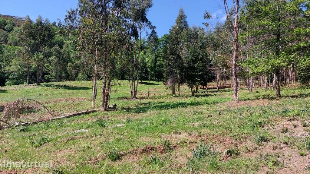 Terreno - Tabuaças - Grande imagem: 4/27