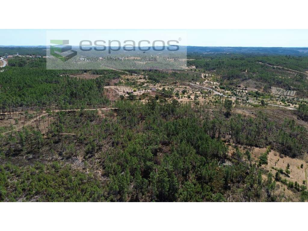 Terreno - Grande imagem: 5/9