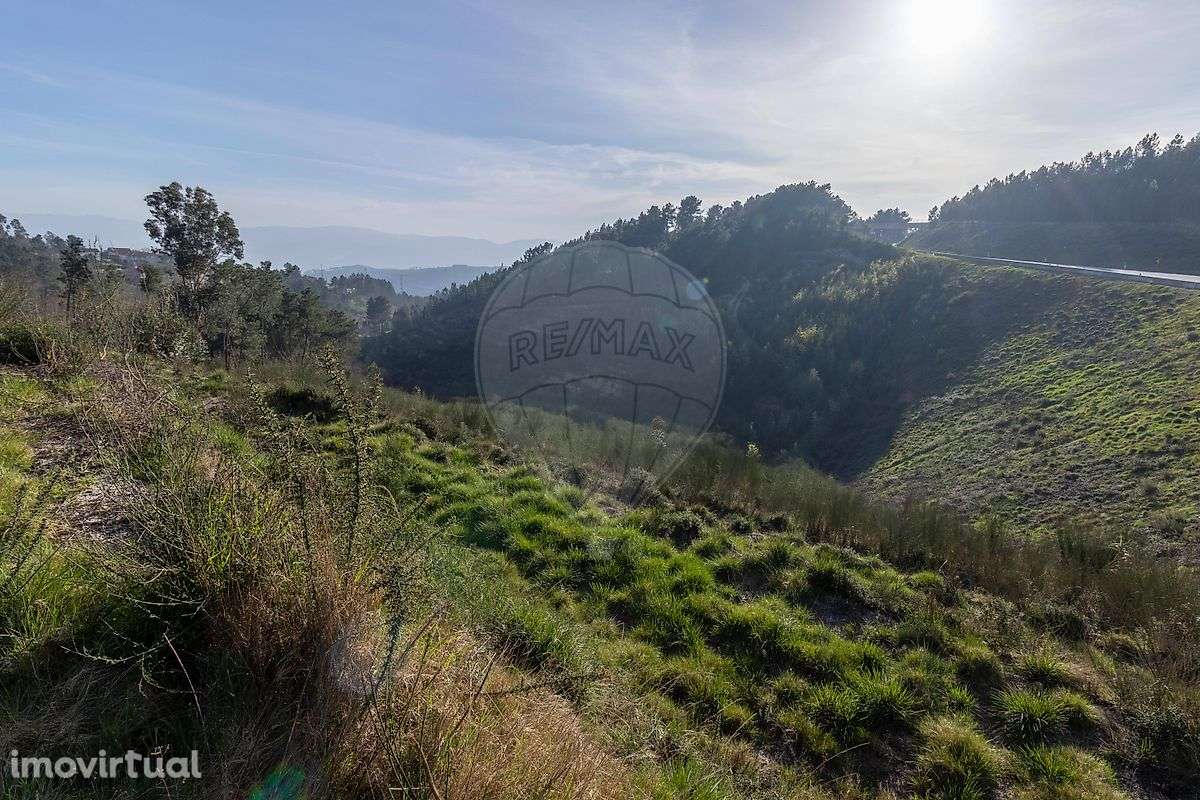 Quinta  para venda - Grande imagem: 2/14