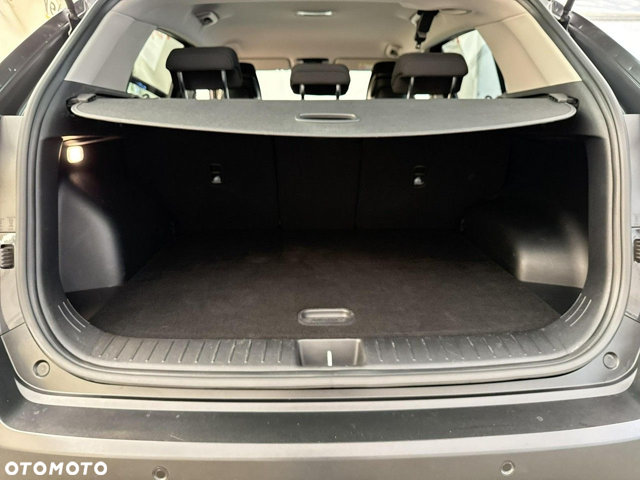 Kia Sportage - 19