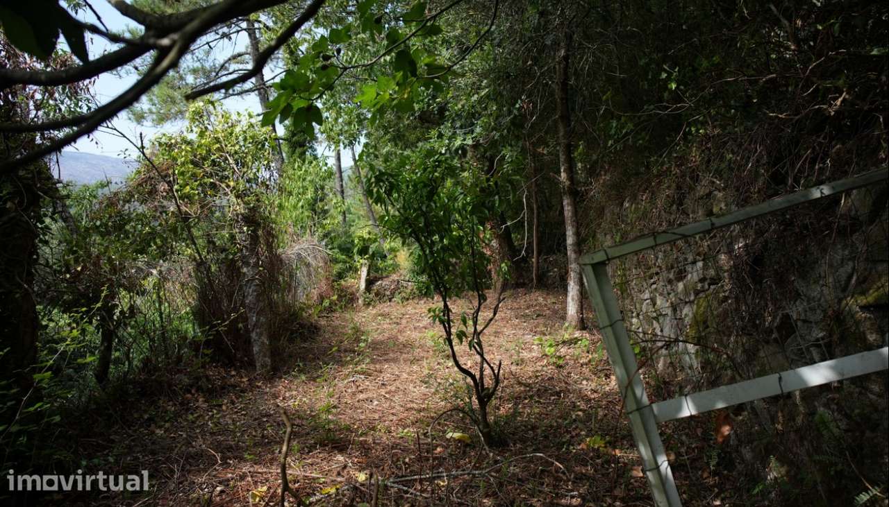 Moradia em pedra para recuperar para venda, Riba Âncora, Caminha - Grande imagem: 4/15