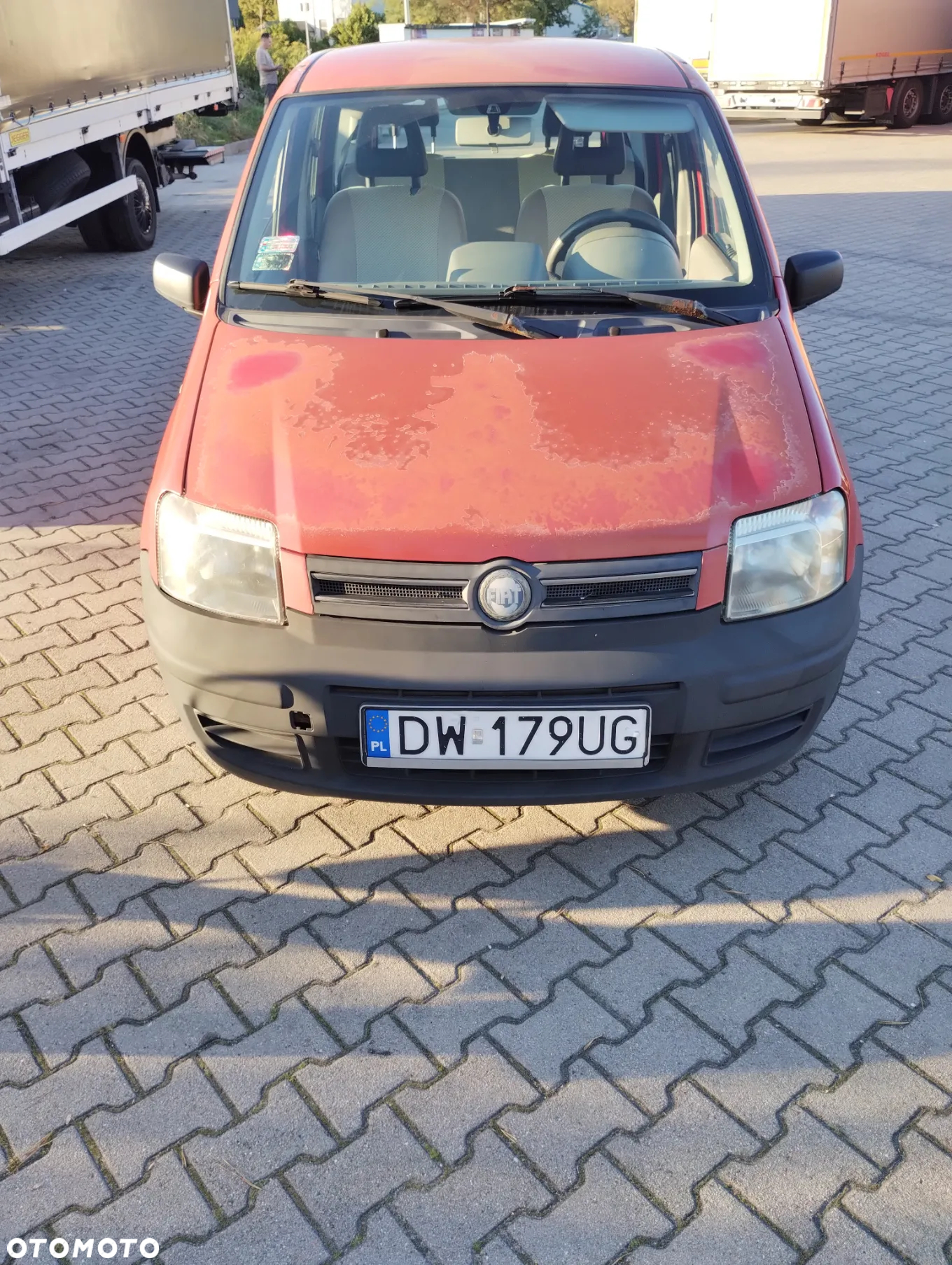 Fiat Panda 1.2 Dynamic - 3