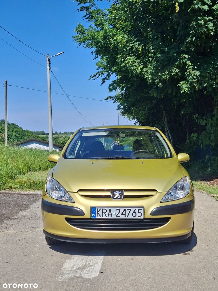 Peugeot 307 1.4 XR - 4