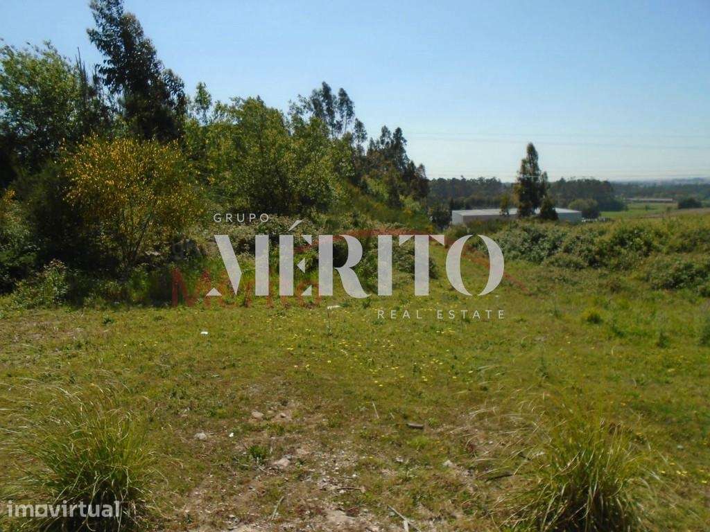 Terreno para construção  em Paradela S.Martinho de Bougado-  Trofa - Grande imagem: 4/13