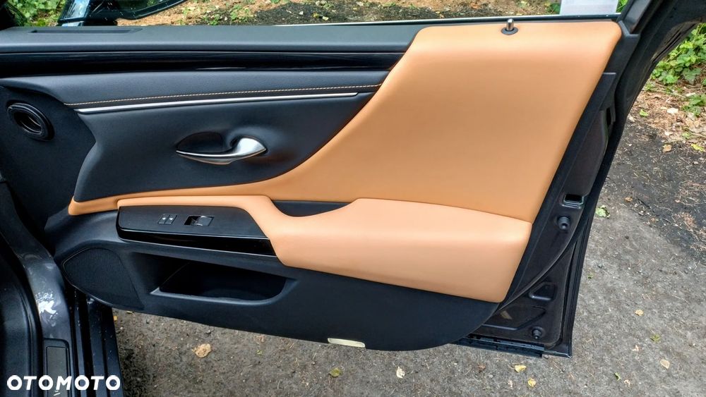 Lexus ES 300h Business Edition - 15