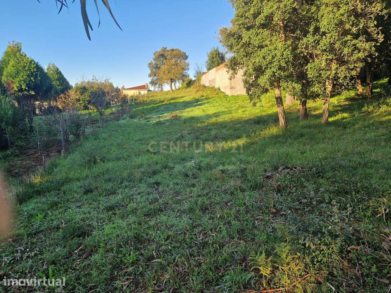 Terreno Rústico com possibilidade de Urbanizar em Silvalde-Espinho - Grande imagem: 2/7