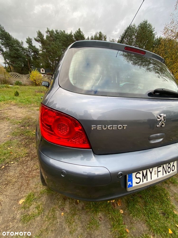 Peugeot 307 - 22