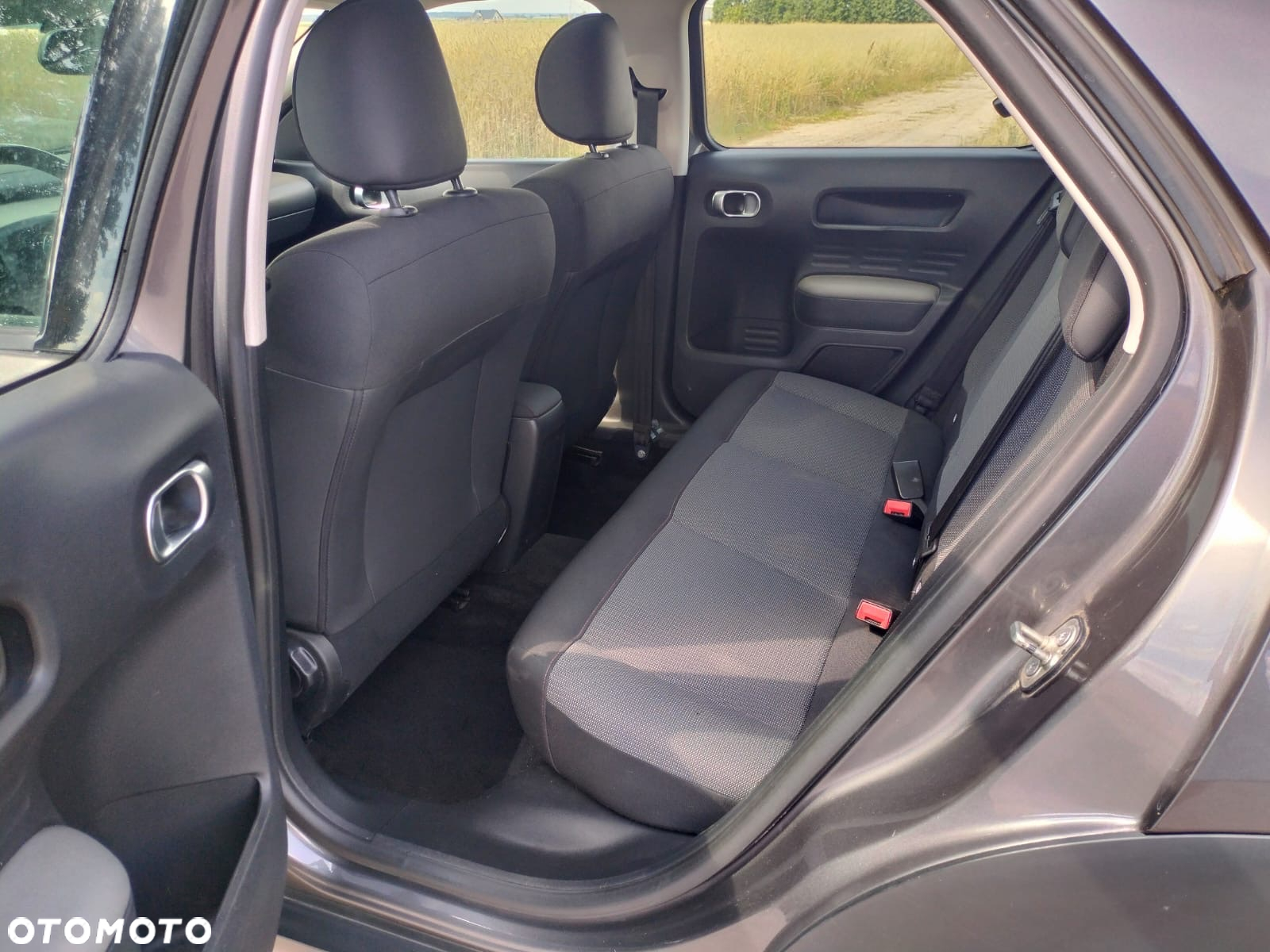 Citroën C4 Cactus 1.6 BlueHDi Live - 19