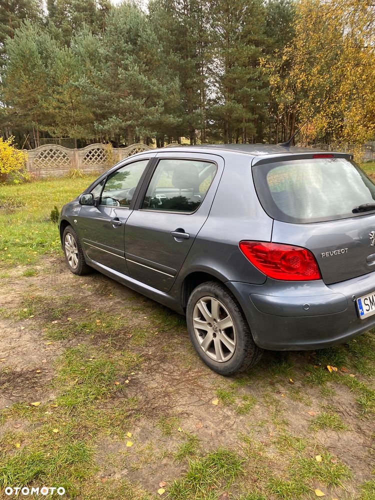 Peugeot 307 - 5