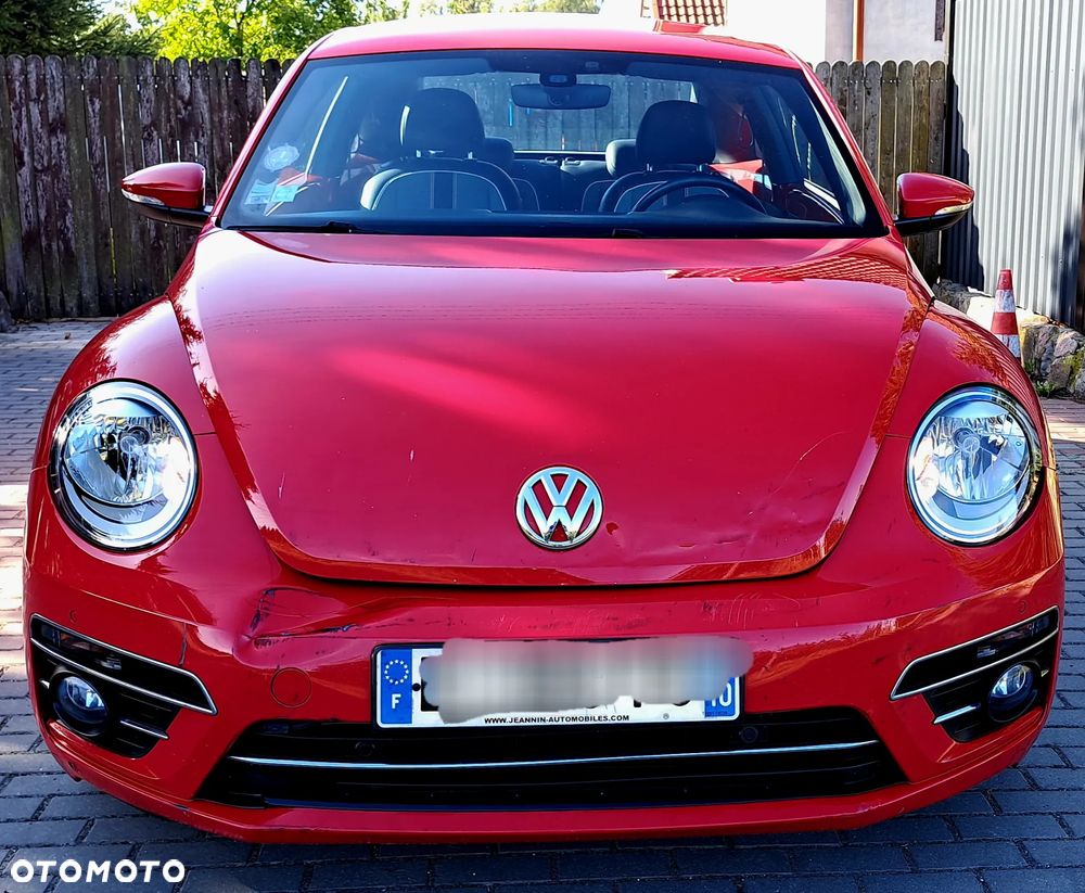 Volkswagen Beetle - 5