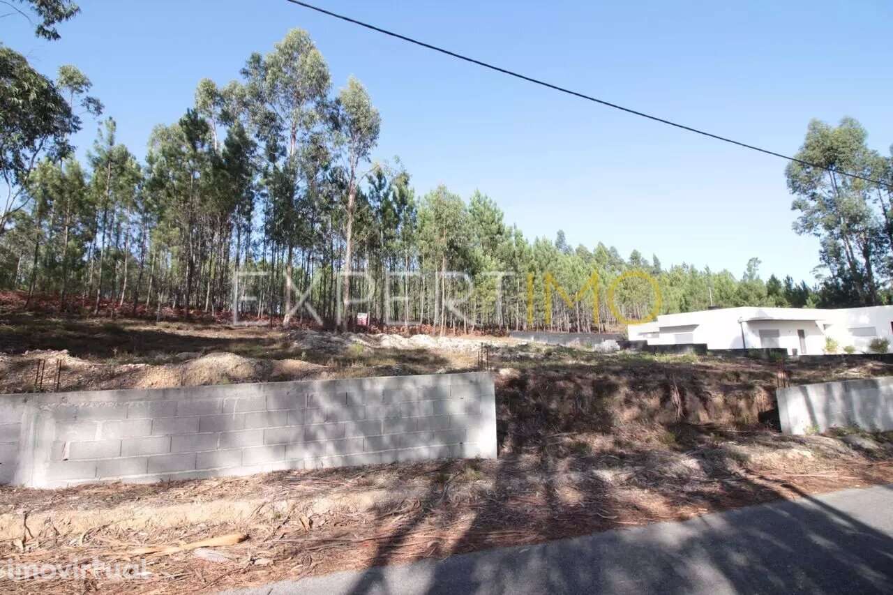 Terreno Com plantação de eucaliptos e pinheiros - Ourém - Grande imagem: 2/5