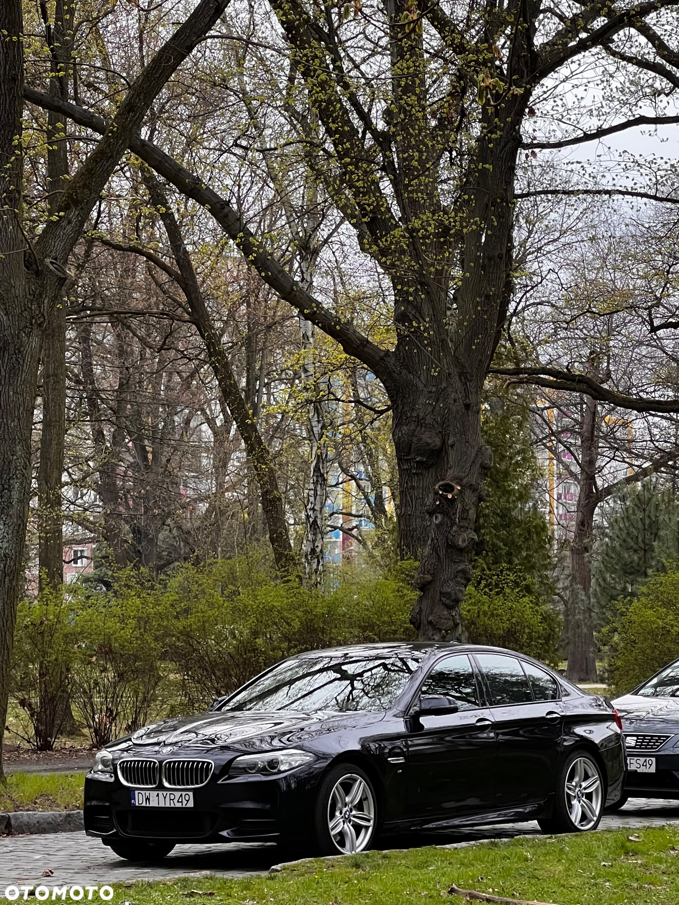 BMW Seria 5 530d xDrive - 24