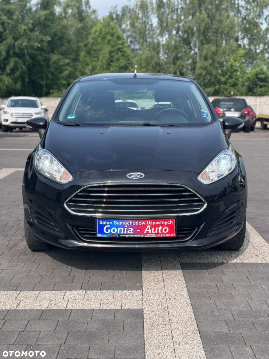 Ford Fiesta - 2