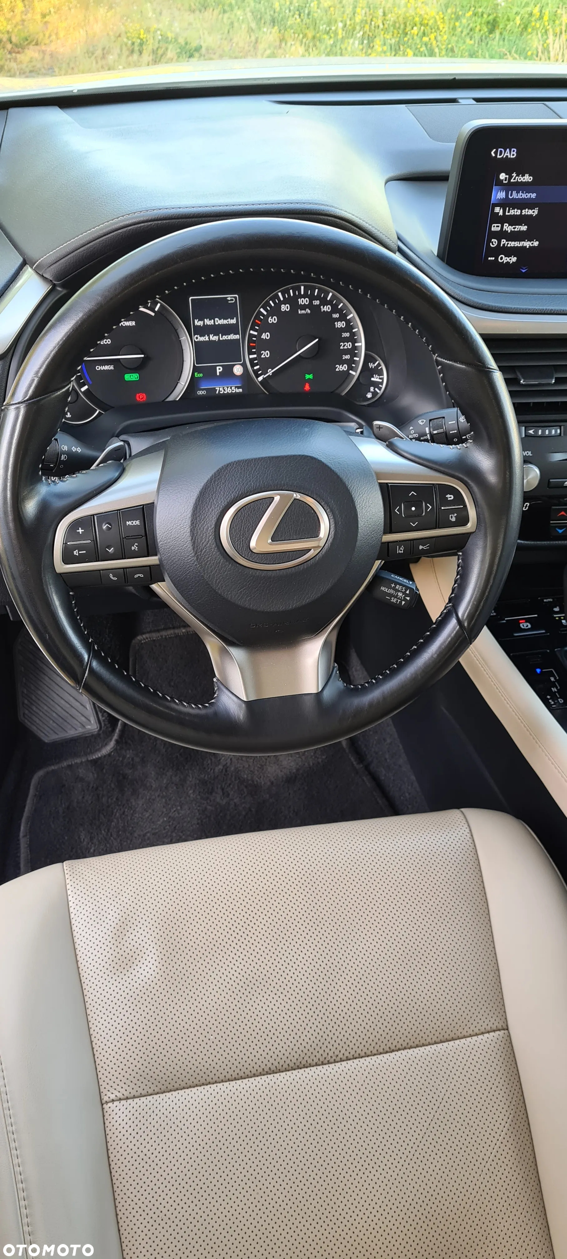 Lexus RX 450h F-Impression - 13