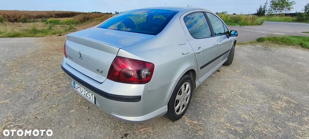 Peugeot 407 - 18