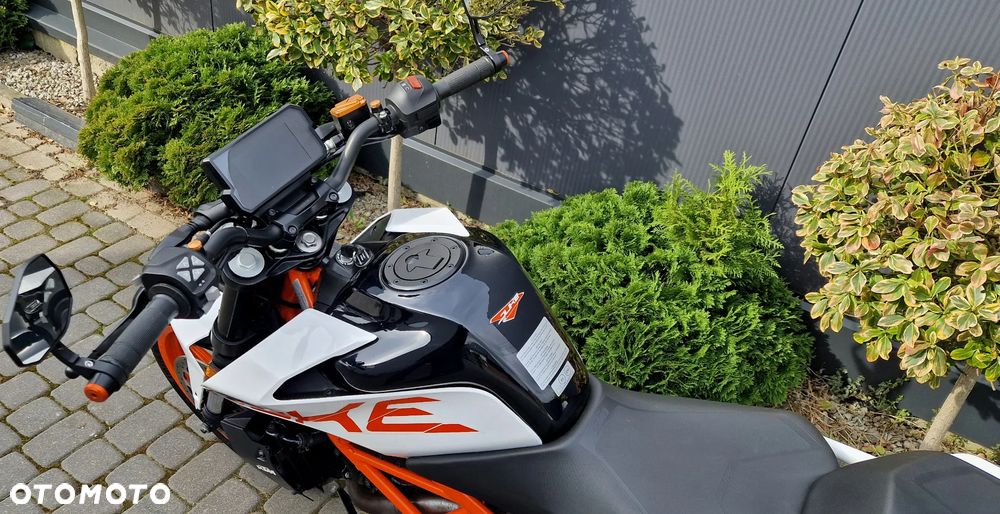KTM Duke - 33