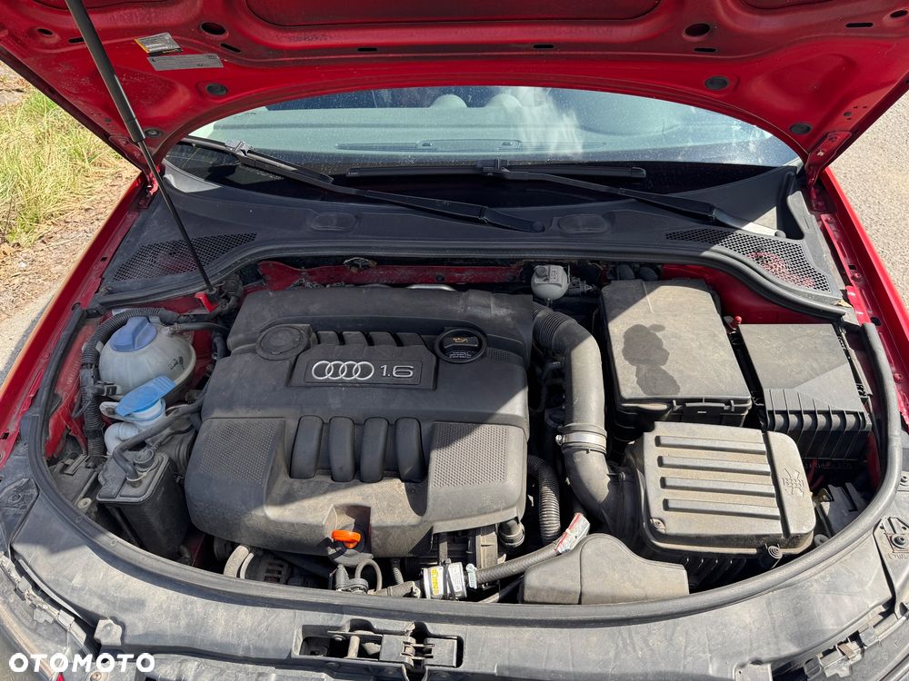 Audi A3 3-drzwiowe 1.6 Ambiente - 11