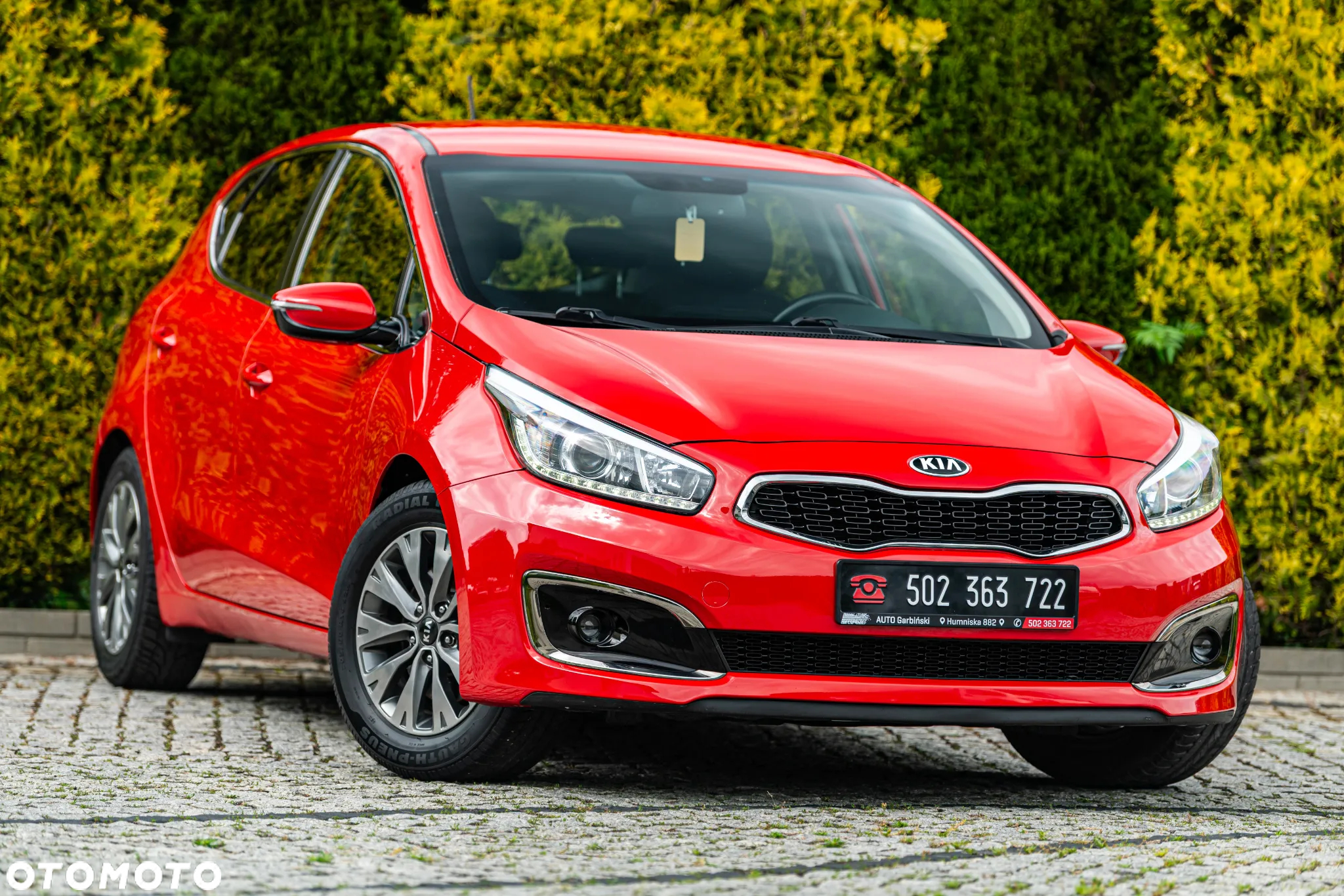 Kia Ceed 1.4 CVVT Dream-Team Edition - 2