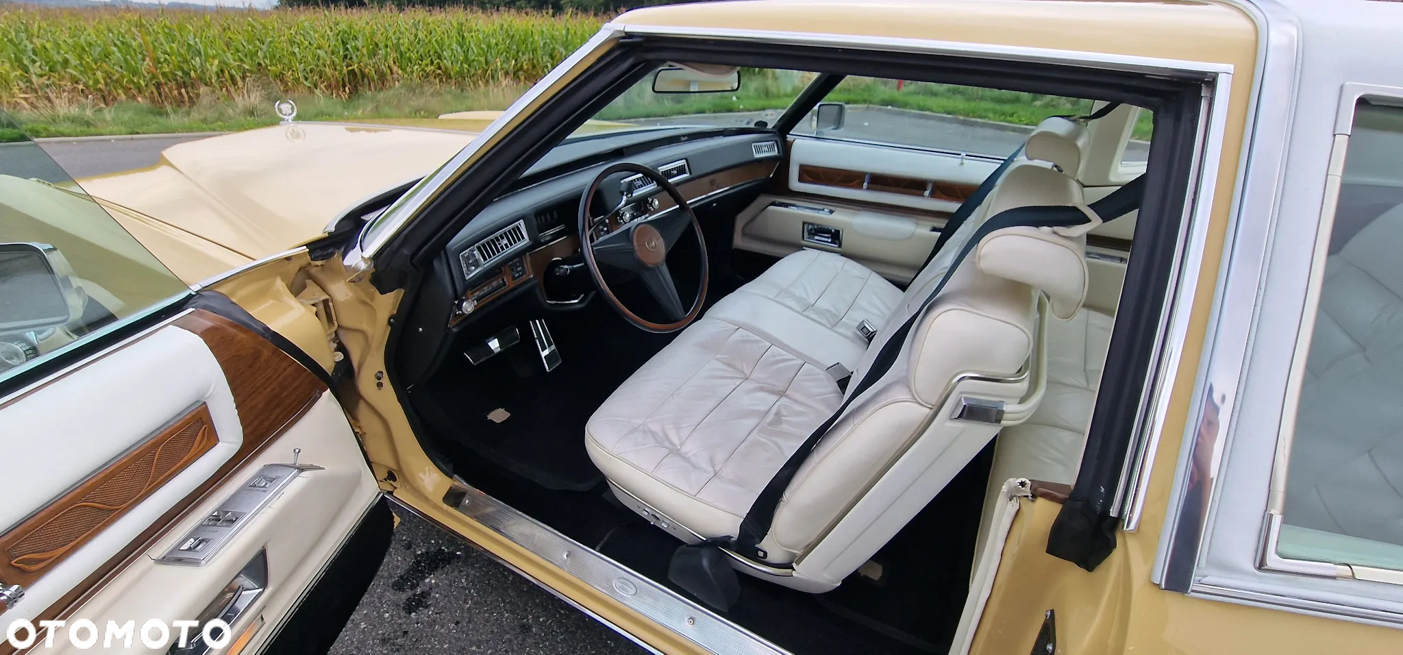 Cadillac Eldorado - 11