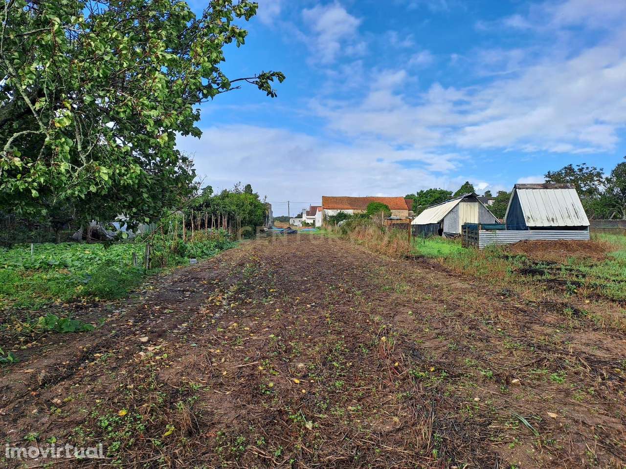 Terreno com Viabilidade para construção em Vagos - Grande imagem: 3/10