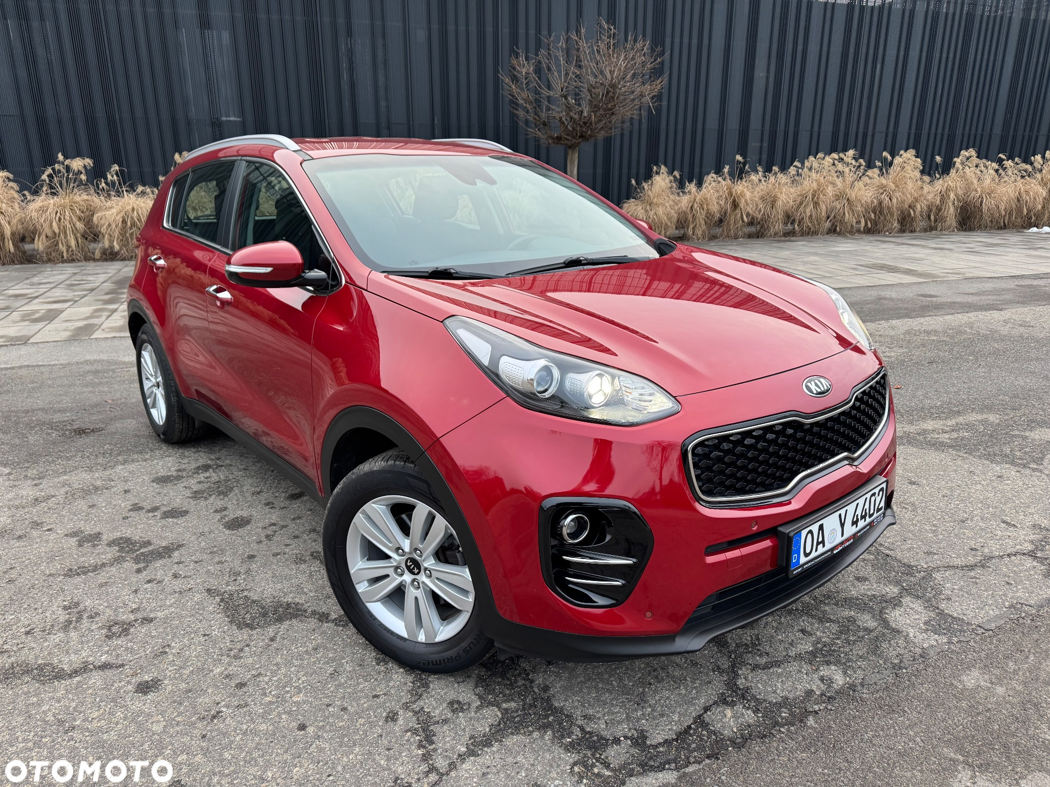 Kia Sportage 1.6 GDI Black Edition 2WD - 6
