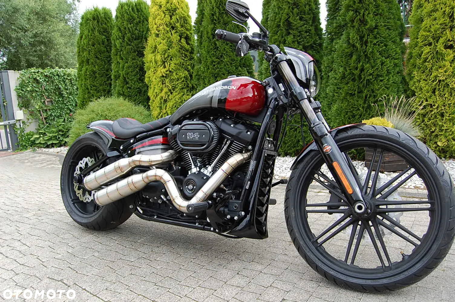 Harley-Davidson Softail - 3