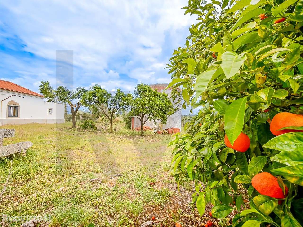 Herdade das Barreiras Brancas | 8 Hectares em Fronteira, Alto Alentejo - Grande imagem: 4/27