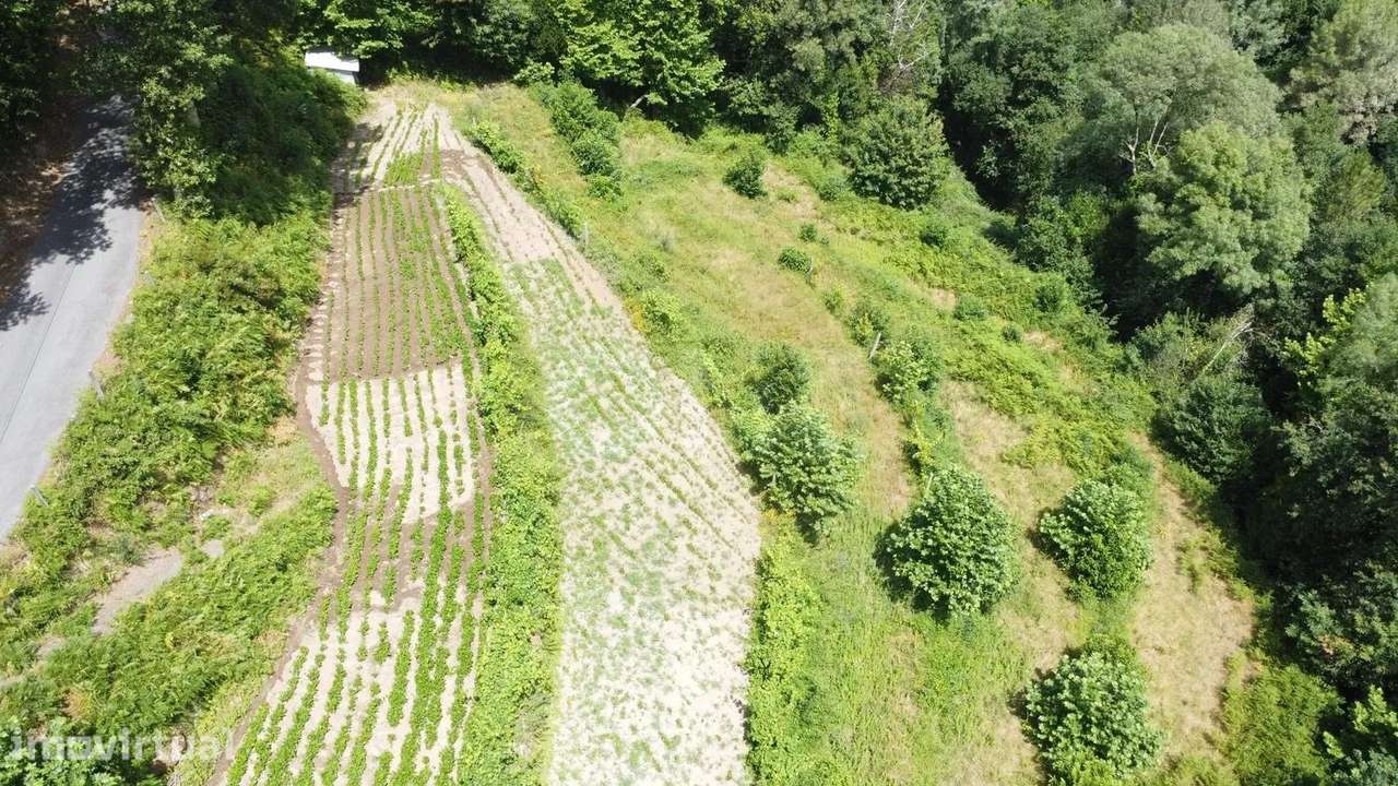 Terreno Agrícola com 5.695 m² em Chorense – Terras de Bouro - Grande imagem: 3/10
