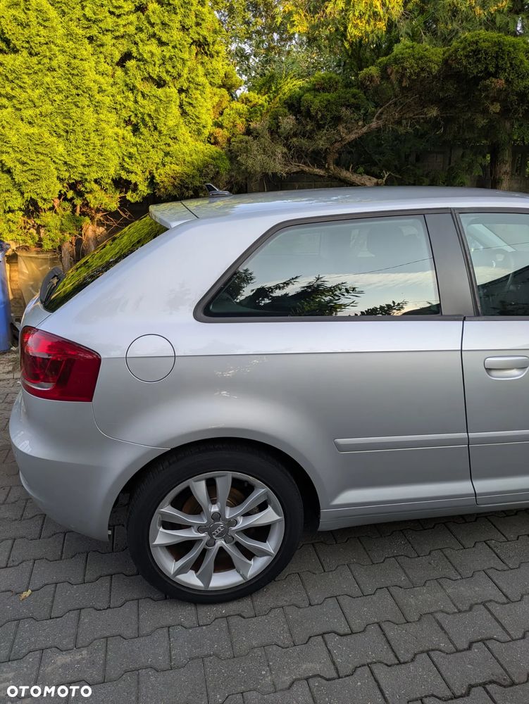 Audi A3 3-drzwiowe 1.6 Ambition - 10