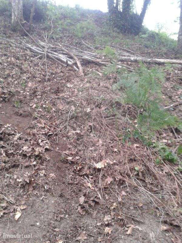 Terreno  para venda - Grande imagem: 3/3