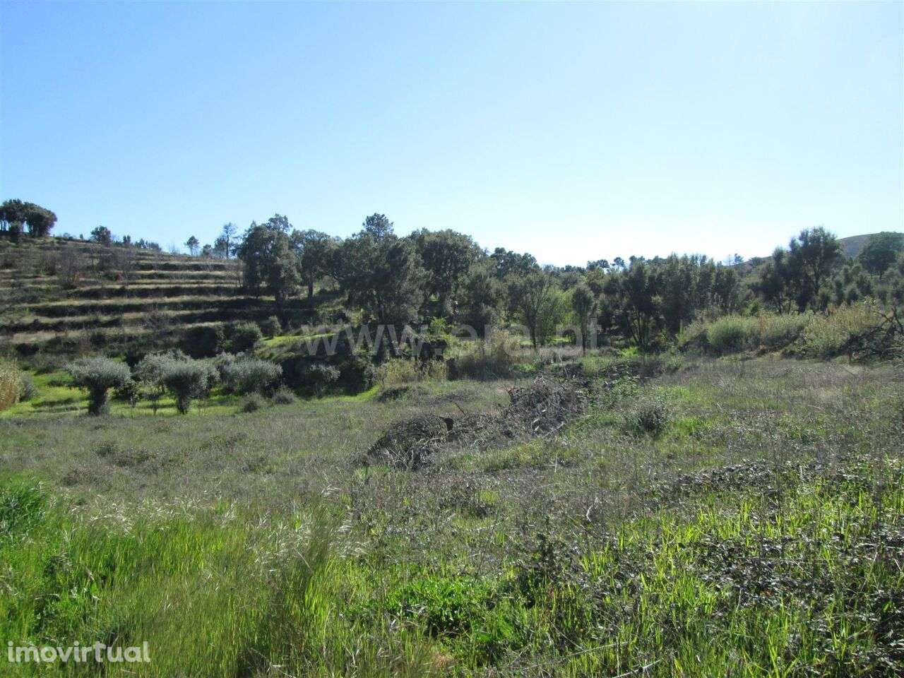 Terreno / Fundão, Telhado - Grande imagem: 5/6