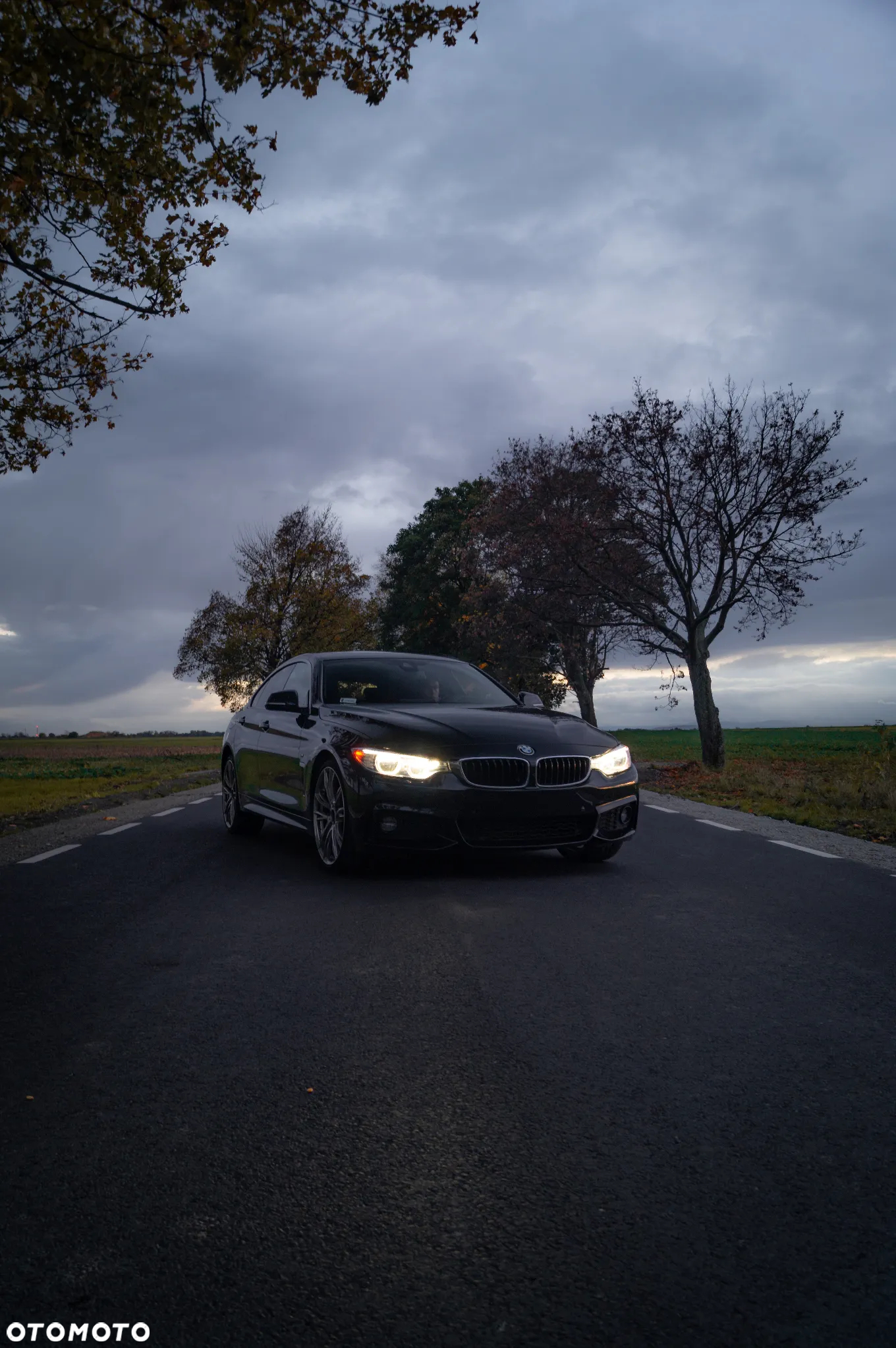 BMW Seria 4 430i xDrive Sport - 5