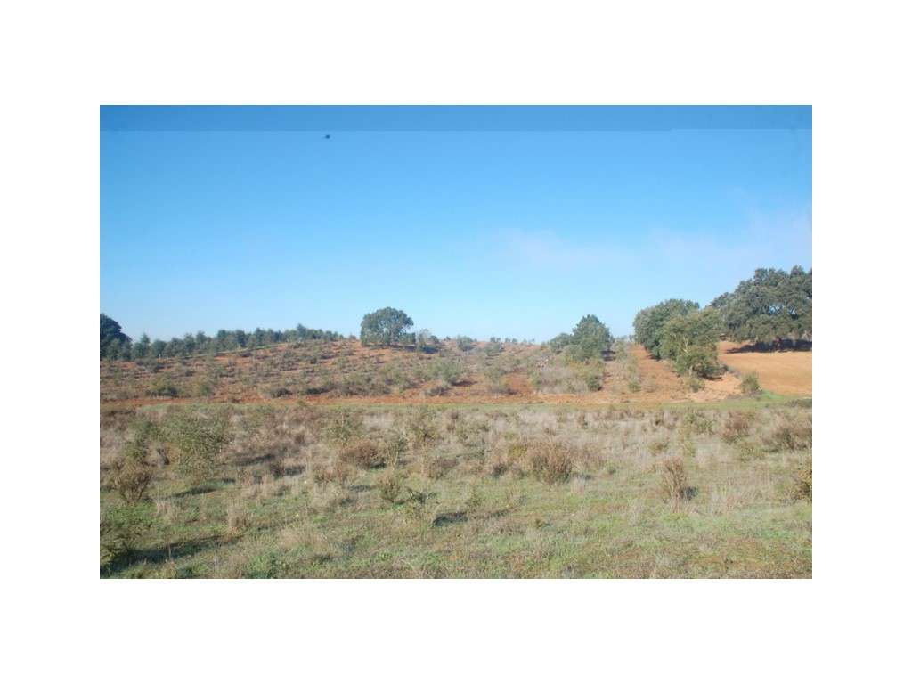 Terreno Cercal 3ha - Grande imagem: 2/3