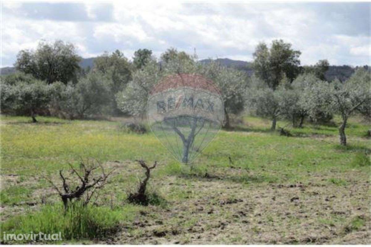 Quinta T0 para venda - Grande imagem: 5/28