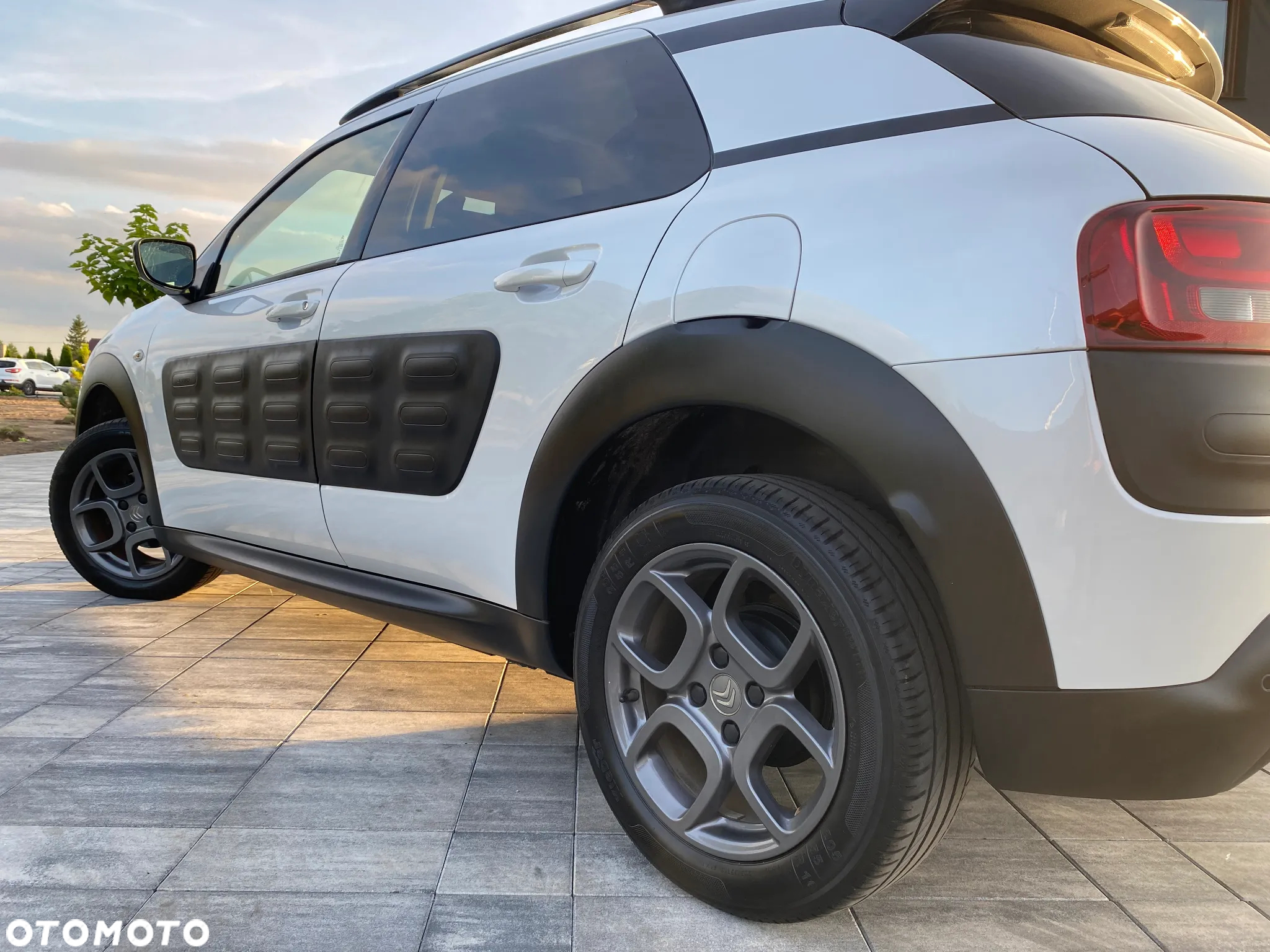 Citroën C4 Cactus 1.2 PureTech Shine Edition S&S - 12