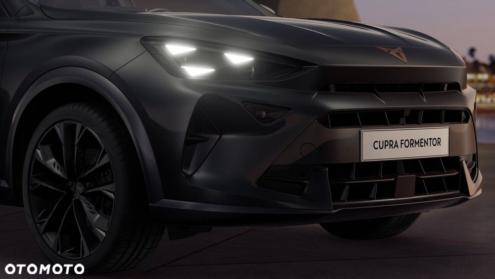 Cupra Formentor 2.0 TSI 4Drive DSG - 9
