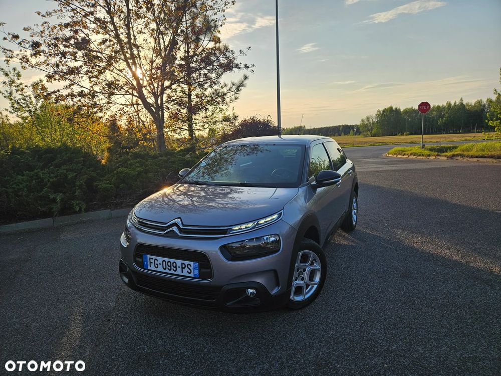 Citroën C4 Cactus 1.5 BlueHDi Shine Pack - 4