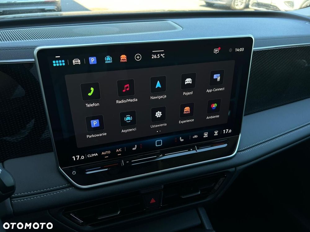 Volkswagen Tiguan - 19